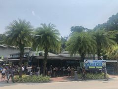 -圣淘沙天际线斜坡滑车