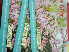 -松山湖梦幻百花洲