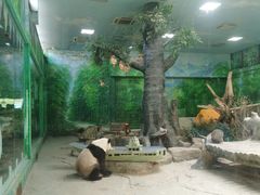 -灵玲国际马戏城