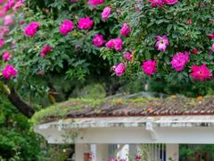 -人民公园(罗湖区)