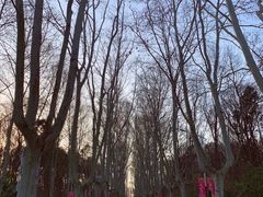 -灵谷景区