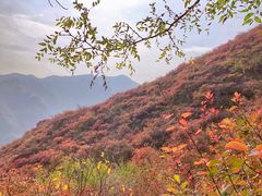 -周口店坡峰岭风景区