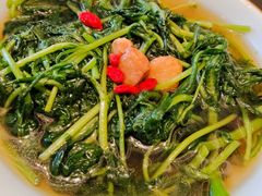 -南海渔村(珠江新城店)