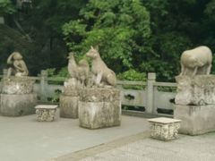 -藏龙百瀑风景区