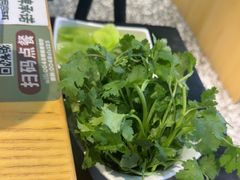 -0048鲜活香辣虾·火锅(铜陵路店)