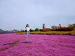 -西海岸生态观光园