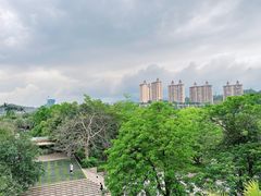 -惠州白鹭湖雅居乐喜来登度假酒店-采悦轩中餐厅