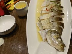 清蒸白鱼-锡和无锡菜(景丽苑店)