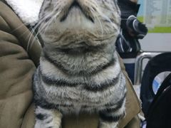 -狗舍宠物医院(四季商业广场店)