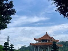 -深圳仙湖植物园