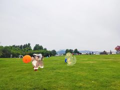 -君乐宝优致牧场