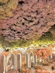 -爱尔乐美孕产瑜伽·普拉提