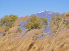 -野鸭湖国家湿地公园
