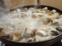 -顺德哥卜卜贝(旗舰店)