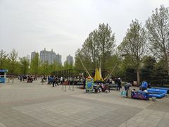 -朝阳公园游乐园