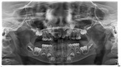 -青苗儿童口腔(长楹天街购物中心)