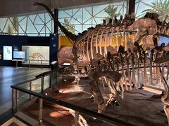 -湖南省地质博物馆