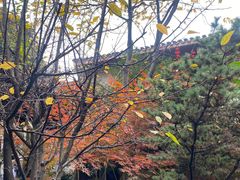 -李鸿章故居