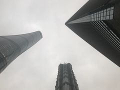 -上海柏悦酒店·世纪100牛排馆
