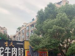 -半月镰胡姐脆皮萝卜饺子