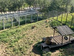 -青藏高原野生动物园