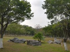-南沙天后宫景区