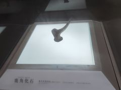-信阳博物馆