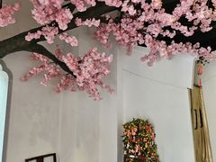 -春天来了(印象新天地店)
