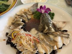 -博雅渔港·融合菜(维也纳国际大酒店)