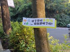 -广州市帽峰山景区