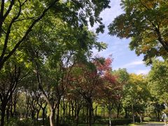 -尚贤河湿地