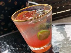 -柴犬高等学院·狗咖·柴犬售卖·宠物训练