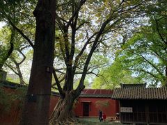 -成都武侯祠博物馆