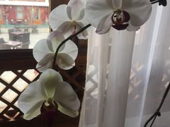 -红墙花园酒店