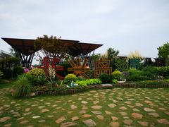 -上海长兴岛郊野公园