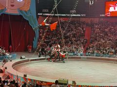 -俄罗斯国家大马戏团