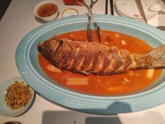 -阿五黄河大鲤鱼(英协路店)