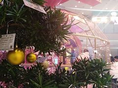 -凯德广场(学府店)