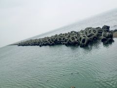 -东疆建设开发纪念公园