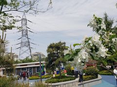 -北岭山森林公园