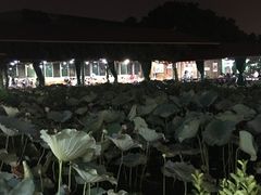 荷香居-荷香居(洞企石路店)