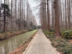 -上海怡沁园度假酒店