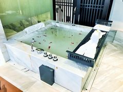 -Club Med地中海俱乐部·桂林度假村