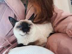 -猫爪屋猫咖(乐汇城店)
