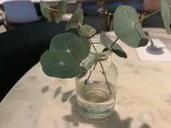 -gaga(深圳福田星河COCO Park店)
