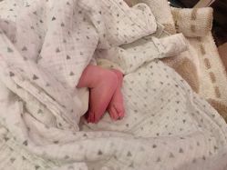 -杭州贝瑞斯美华妇儿医院·早孕·产检·儿科