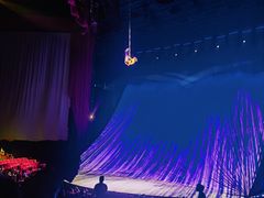 -水秀国际大剧院