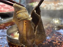 -巴倒烫陆派火锅山庄(南山总店)