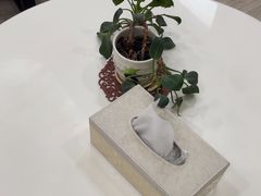 -深圳麦芽口腔医院(罗湖总院)