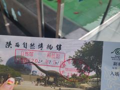 -陕西自然博物馆